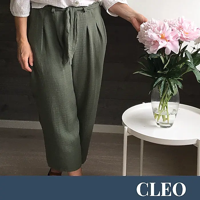 CLEO - PDF (EN/SE)