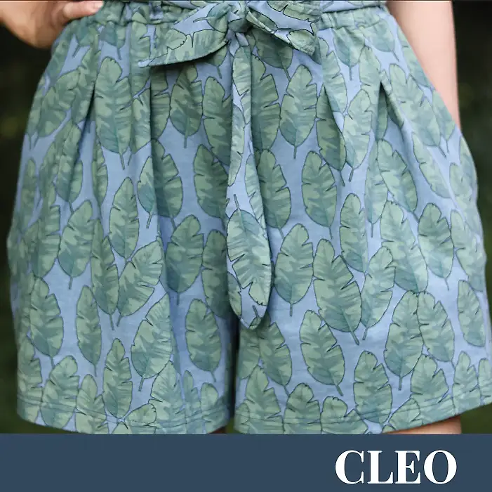 CLEO - PDF (EN/SE)