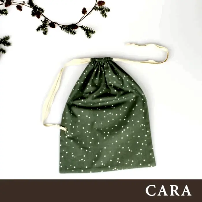 CARA - PDF (SE/EN) GRATIS NEDLADDNING