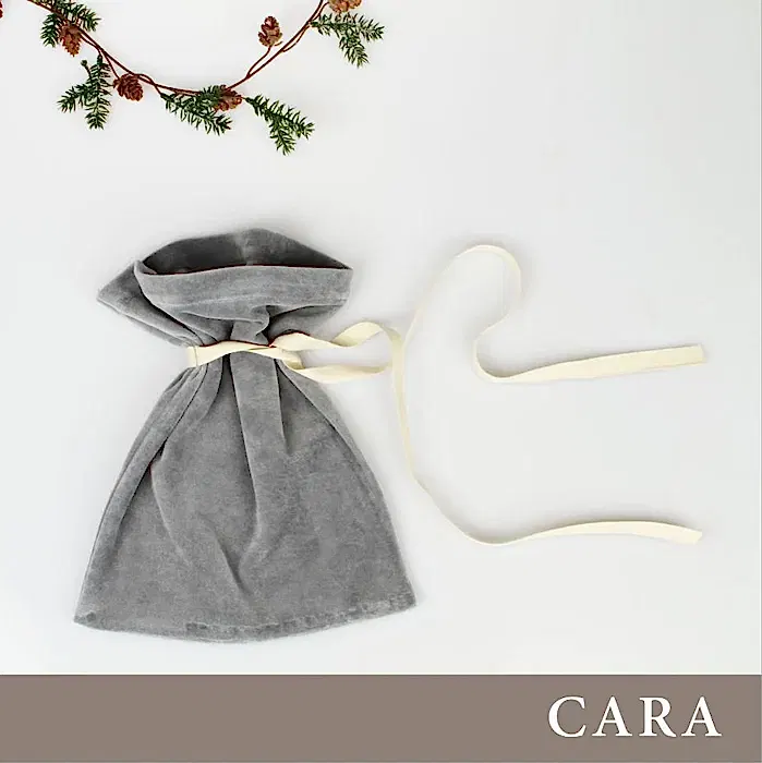 CARA - PDF (SE/EN) GRATIS NEDLADDNING