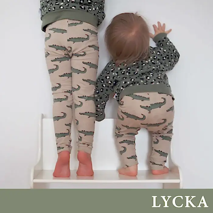 LYCKA - PDF (EN/SE)