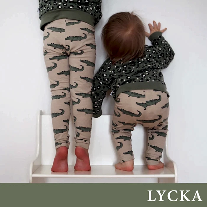 LYCKA - PDF (EN/SE)
