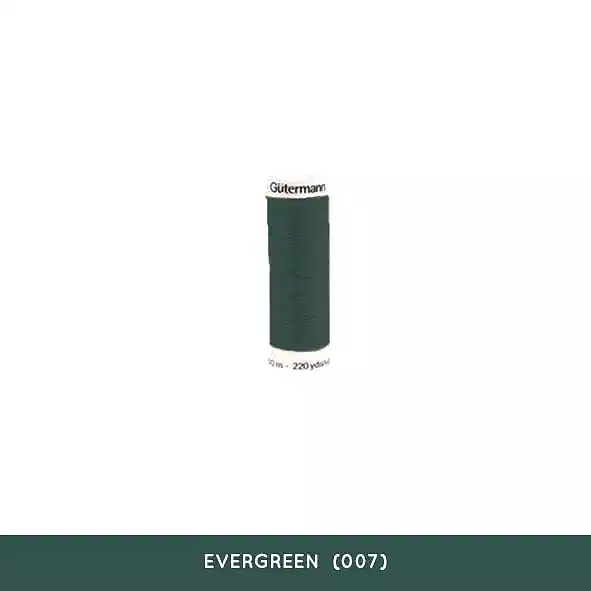 EVERGREEN (007) - GÜTERMANN 200 M