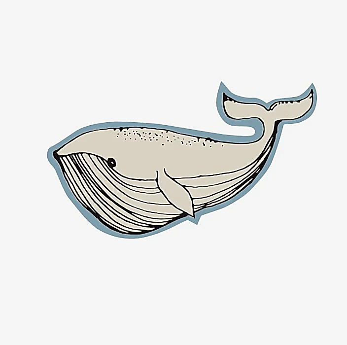 APPLIKATION - WHALE